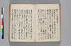 〔異国漂流記〕（仮題） 021/134