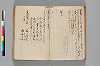 〔異国漂流記〕（仮題） 051/134