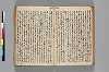 〔異国漂流記〕（仮題） 057/134