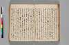 〔異国漂流記〕（仮題） 072/134