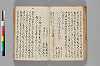 〔異国漂流記〕（仮題） 101/134
