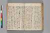 〔異国漂流記〕（仮題） 116/134