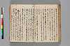 〔異国漂流記〕（仮題） 117/134