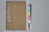 画像4152