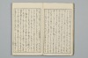 網の綱手 010/071