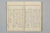 網の綱手 014/071