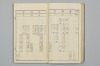 網の綱手 019/071