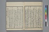 末分櫛 017/071