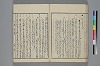 末分櫛 051/071