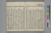 末分櫛 028/065