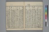 末分櫛 029/065