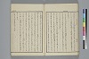 玉の緒繰分 042/065
