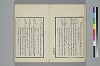 詞のやちくさ 011/041