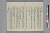 玉緒延約 028/045
