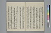 玉緒延約 034/045