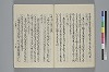 玉緒延約 038/045