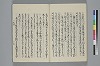 玉緒延約 039/045