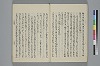 玉緒延約 025/072