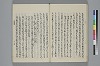 玉緒延約 041/072