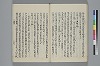 玉緒延約 047/072