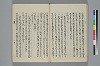 玉緒延約 050/072
