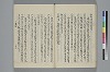 玉緒延約 051/072
