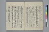 玉緒延約 063/072