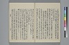 玉緒延約 018/060