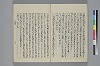 玉緒延約 019/060