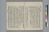 玉緒延約 024/060