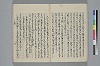 玉緒延約 025/060
