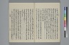 玉緒延約 034/060
