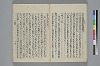玉緒延約 037/060