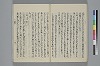 玉緒延約 039/060