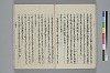 玉緒延約 042/060