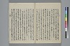 玉緒延約 046/060