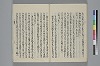 玉緒延約 048/060