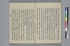 玉緒延約 053/060