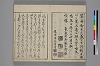 玉の緒縒そへ 004/036