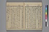 玉の緒縒そへ 018/036