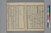 玉の緒縒そへ 014/034