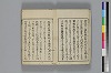 和哥八重垣 003/049