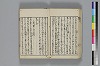 和哥八重垣 011/049