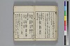 和哥八重垣 013/049