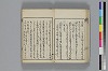 和哥八重垣 014/049