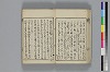 和哥八重垣 015/049