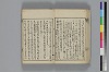 和哥八重垣 016/049