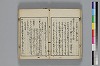 和哥八重垣 018/049