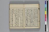 和哥八重垣 012/048