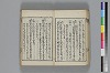 和哥八重垣 017/048